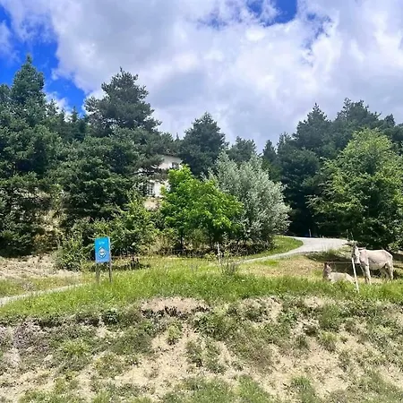 Vakantiehuis Des Restanques Soleilhas